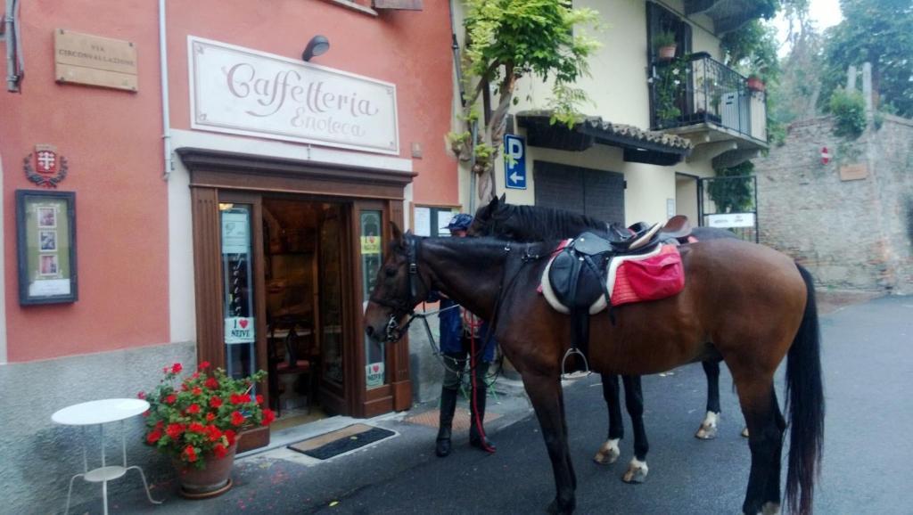 Dimora San Sebastiano Bed and Breakfast Neive Buitenkant foto